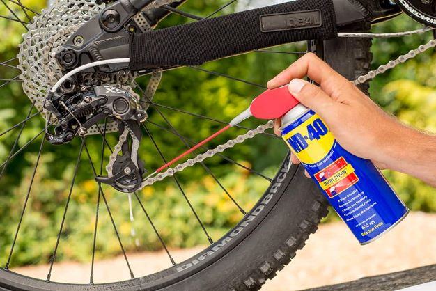 Fixing a store rusty bike chain