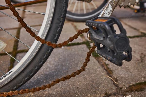 Rusty store bicycle chain